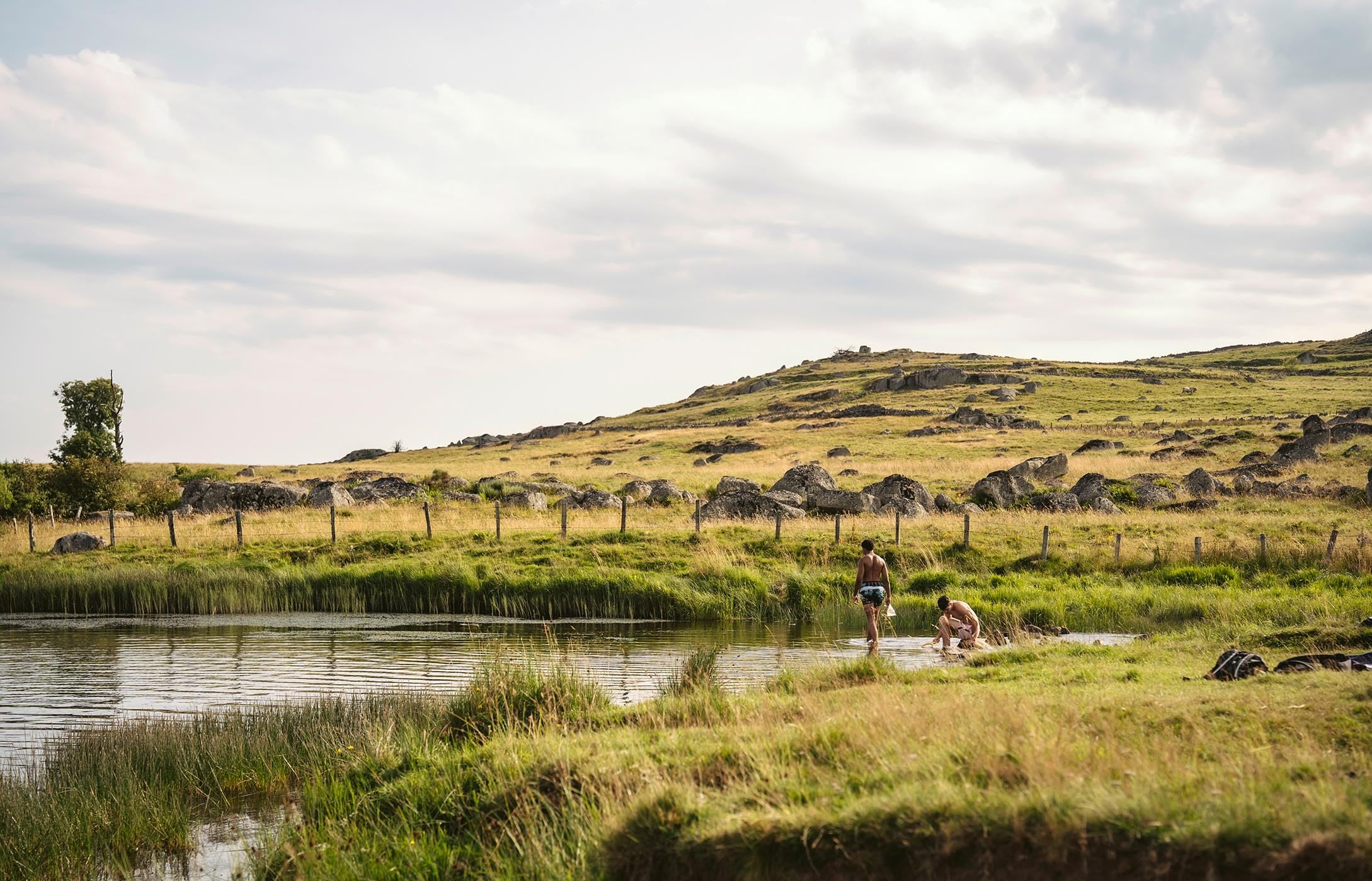 Aubrac