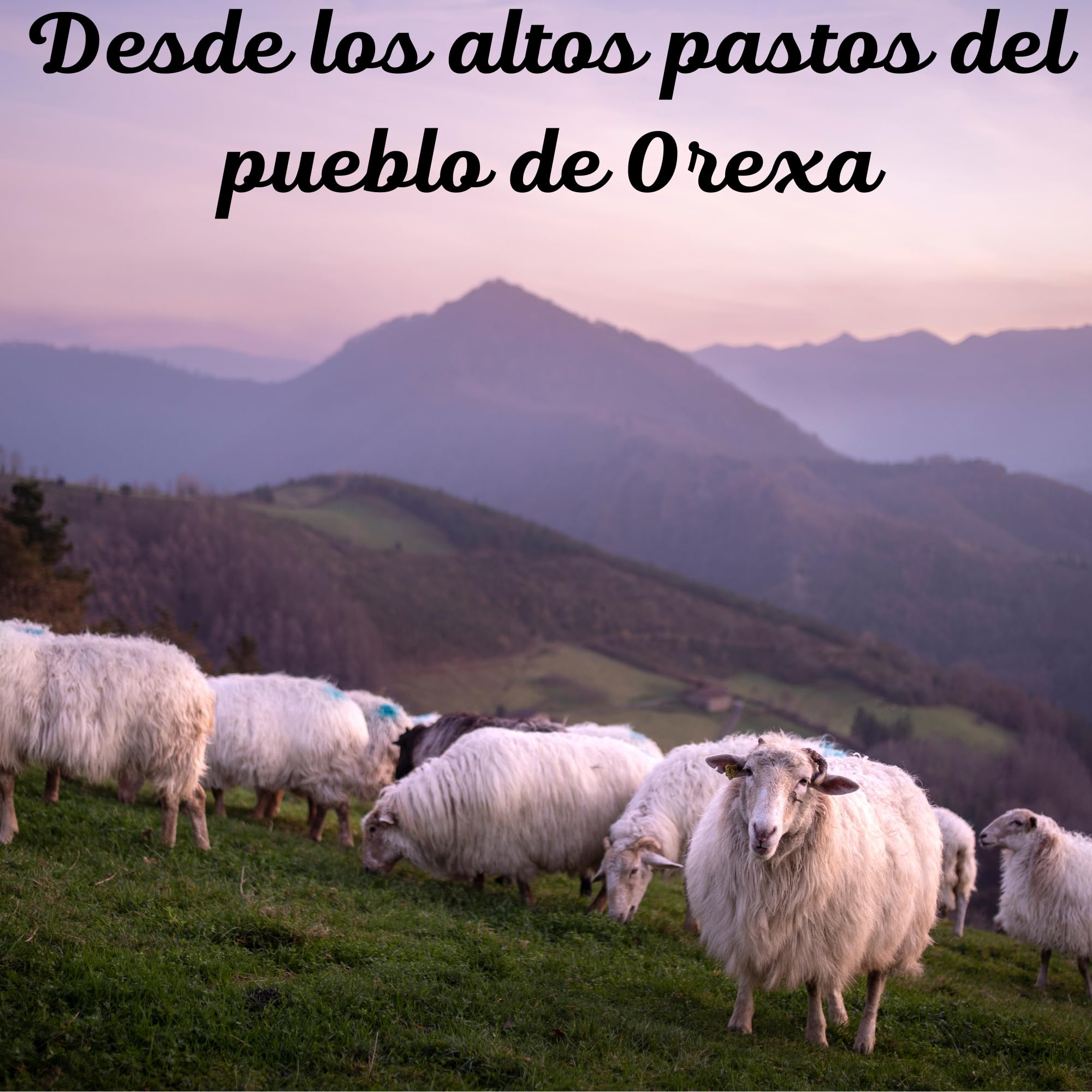 THE BASQUE gourmet, Queso Curado de Oveja D.O. Idiazabal 1,2 kg Ahumado- Empaque al Vacío, Caja Regalo - Para Foodies y Amantes Gourmet - Elaborado con Leche Cruda Oveja Latxa (1,2 Kg, Ahumado)