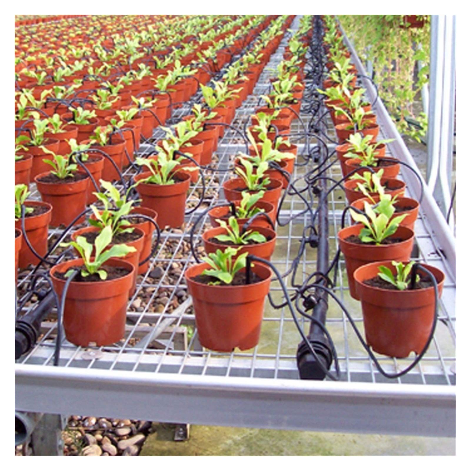 Aspersores de tubería de rociadores Kit de gotero de flecha curvada de 4 vías con dispositivo de flujo estable 8L / H 20 Conjuntos de goteros for herramientas agrícolas Sistema de riego de goteo de go