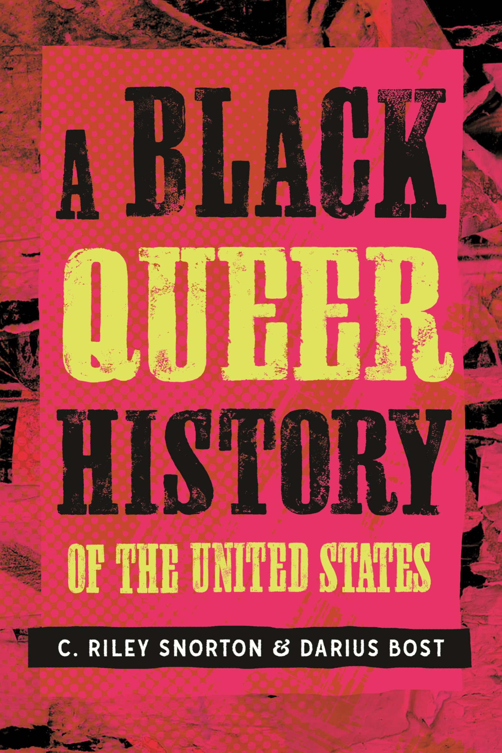 A Black Queer History of the United States (Revisioning History)