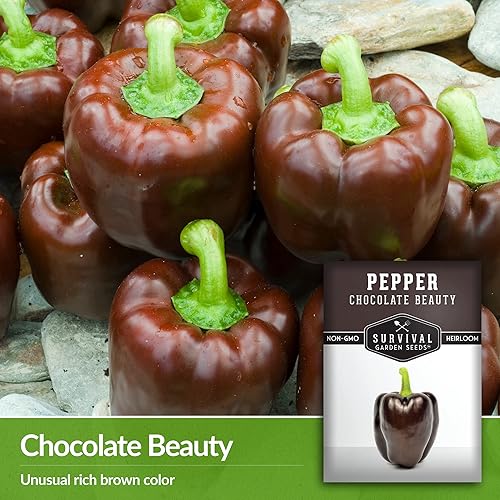 Miniatura 3 de Survival Garden Seeds - Semilla de pimienta Chocolate Beauty para plantar - Paquete con instrucciones para plantar y cultivar hermosos pimientos