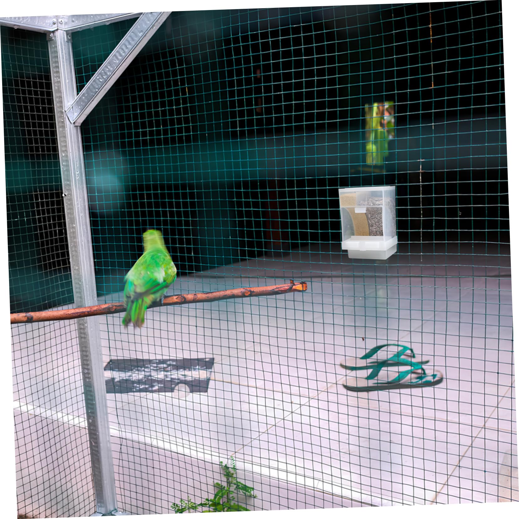 VANZACK 4ensembles Distributeur Automatique pour Oiseaux avec Compartiments Et Cuillère Mangeoire Transparent pour Perroquets Et Oiseaux De Compagnie Accessoire Pratique