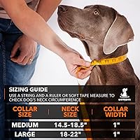 Vista 2 de SparklyPets Collar de perro resistente con asa para perros medianos y grandes, collar profesional con costuras reflectantes, mango suave y hebilla