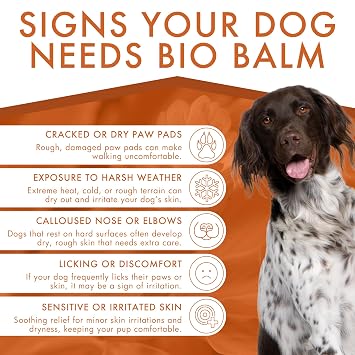 Dermoscent | Bio Balm | Natural, Organic, Healing Dog Paw Balm | Skin & Paw Soother For Dogs With Dry, Cracked, Rough Paws | Veterinarian-Approved Paw Pad Moisturizer & Protector
