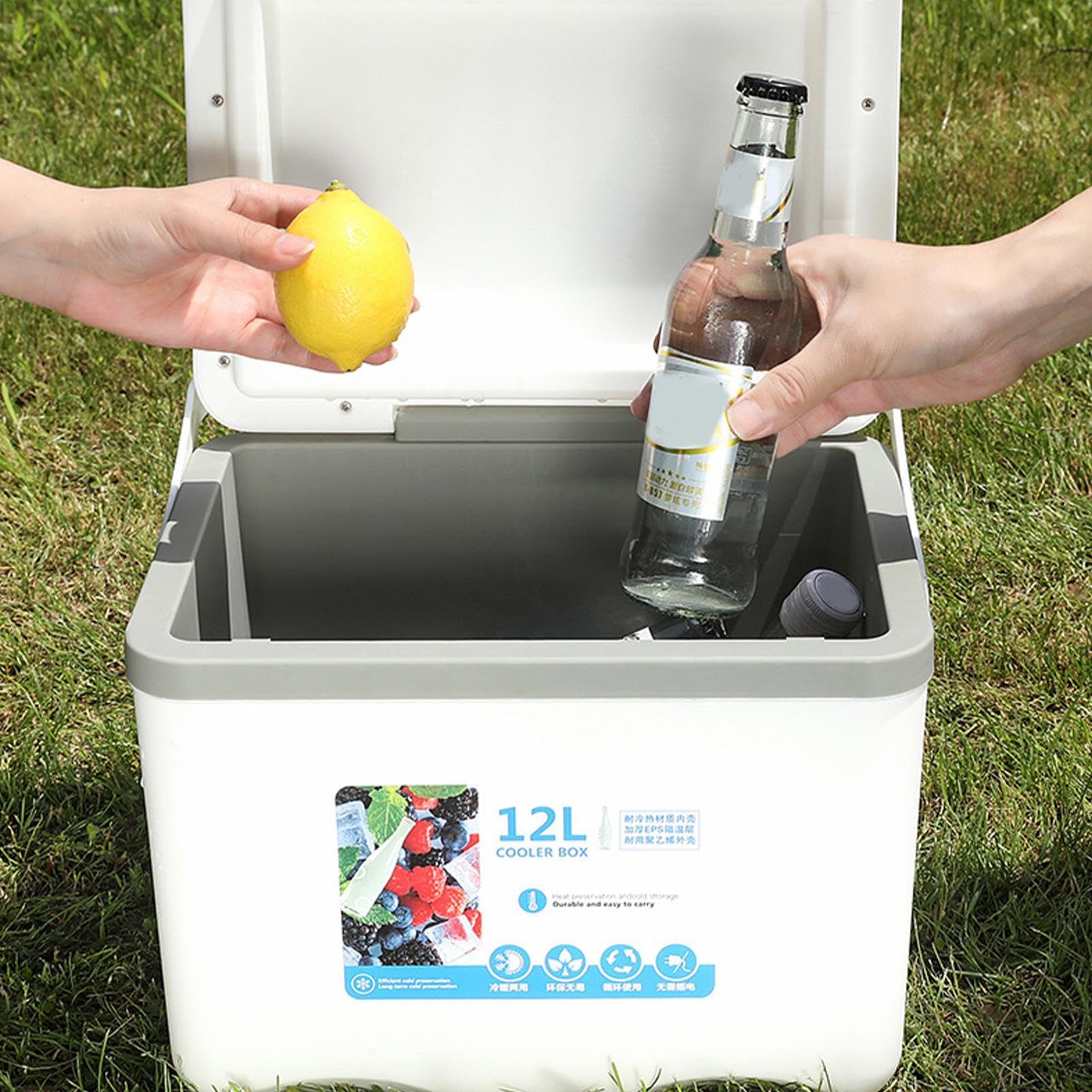 Insulated Cooler Box, organizer samochodowy 12 l, pojemnik na gorące zimno, pojemnik do przechowywania lodu, 12,4 x 9,06 x 10,04 cala), idealny na piknik, ryby i przekąski