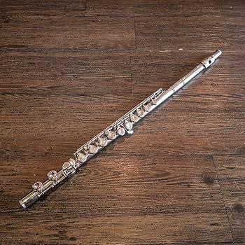 Amazon.co.jp: Bestler ベスラー フルート ケース付 管楽器 - u570