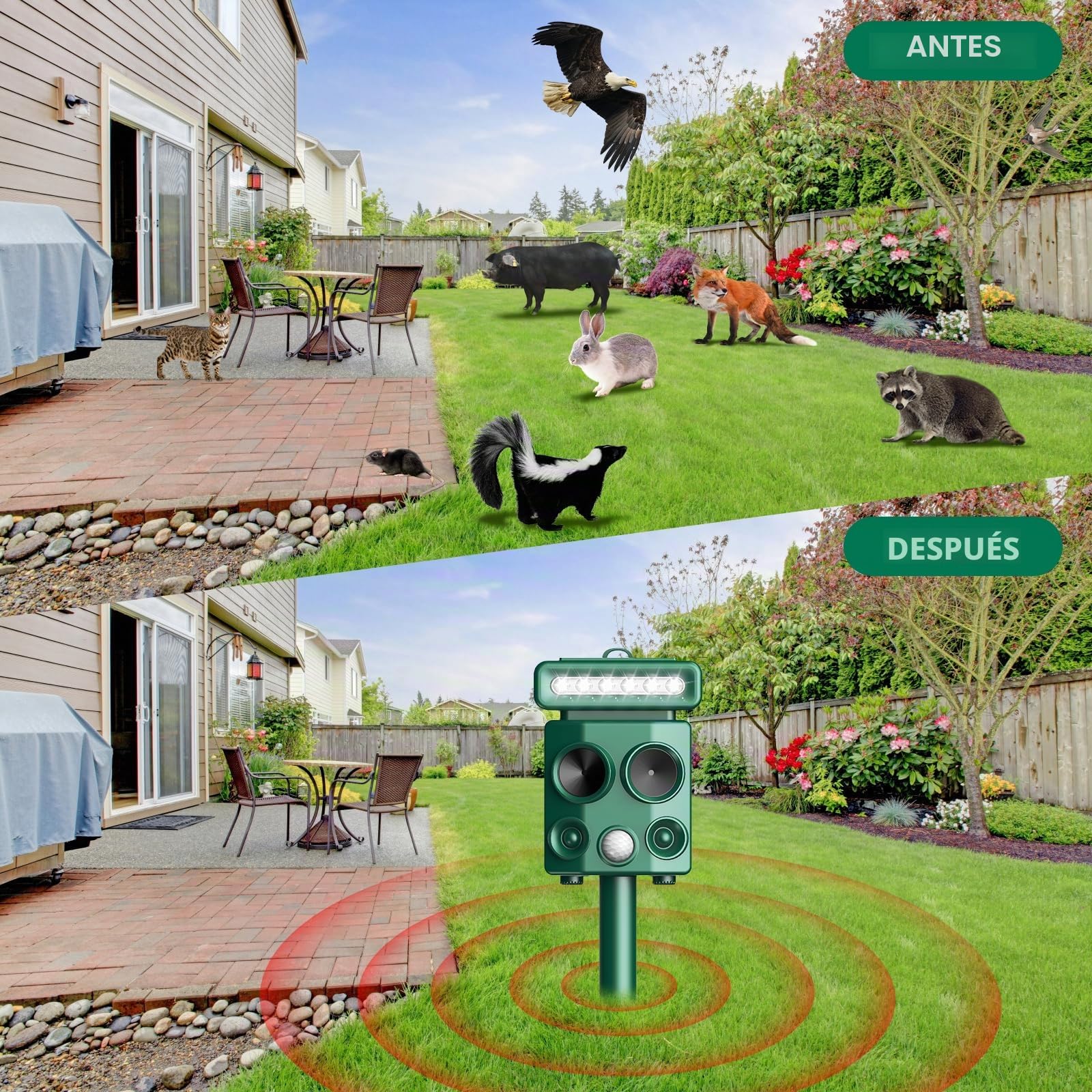 Repelente para Gatos, Ahuyentador de pájaros, IP65 Impermeable, disuasión Solar ultrasónico, Ahuyentador de Ratas con LED Intermitentes, Perros, Ratones, Zorros