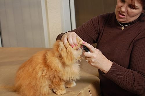 Miniatura 3 de Plaque Attack Spray dental para mascotas