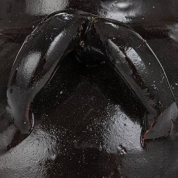 Amazon.com: Creative Co-Op Found Decorative Clay Jar, Espresso