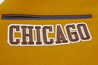 Pro Standard Men's NBA Classic Varsity Jacket