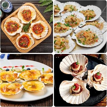 10PCS 10-13CM White Scallops Shells for Crafting
