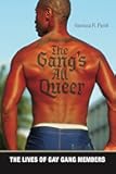 The Gang's All Queer: The Lives of Gay Gang Members (Alternative Criminology, 9)