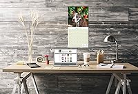 Vista 140 de Razas de Perros 2017