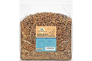 Dried Black Soldier Fly Larvae Treat for Chickens, Laying Hens, and Wild Birds