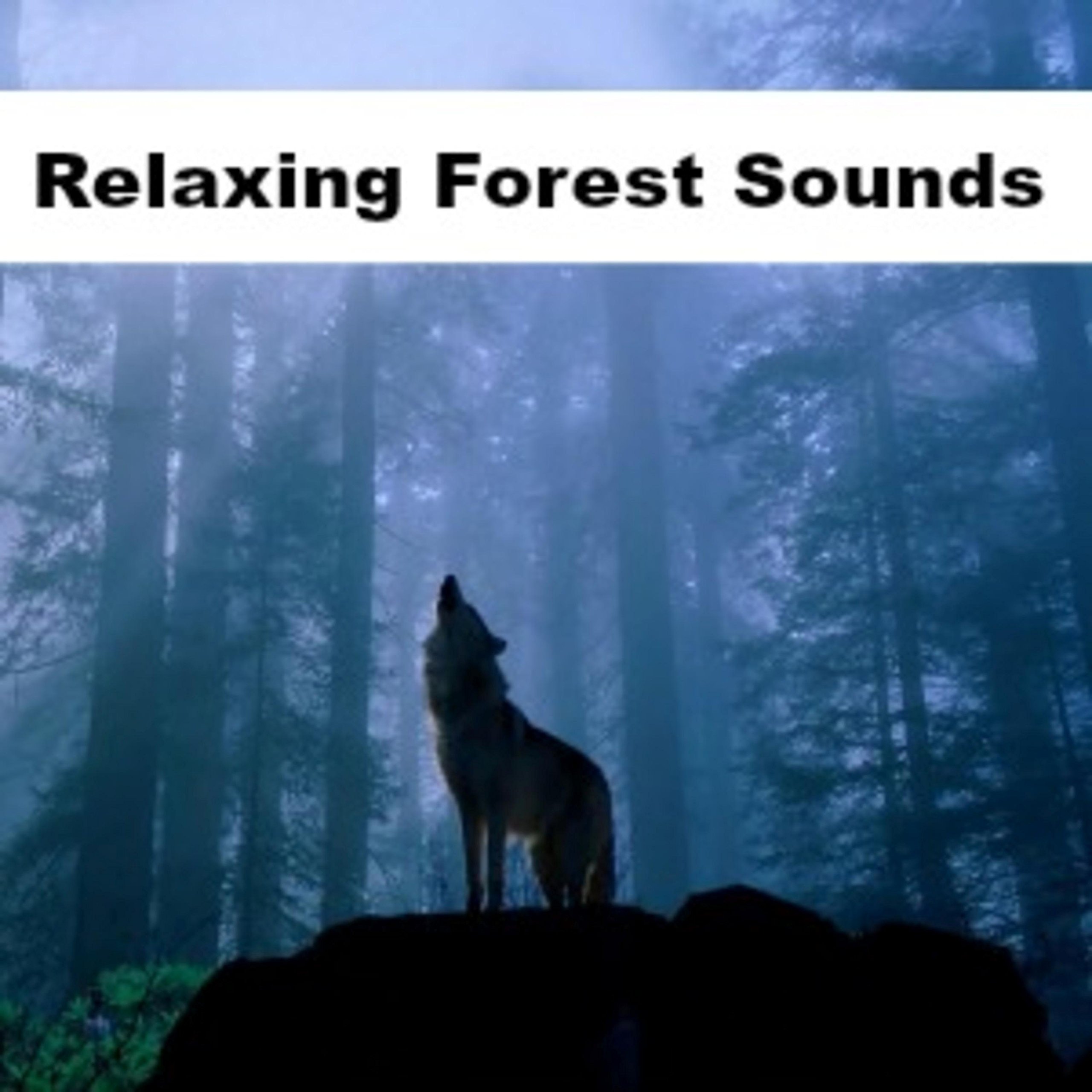 The Relaxation Lounge