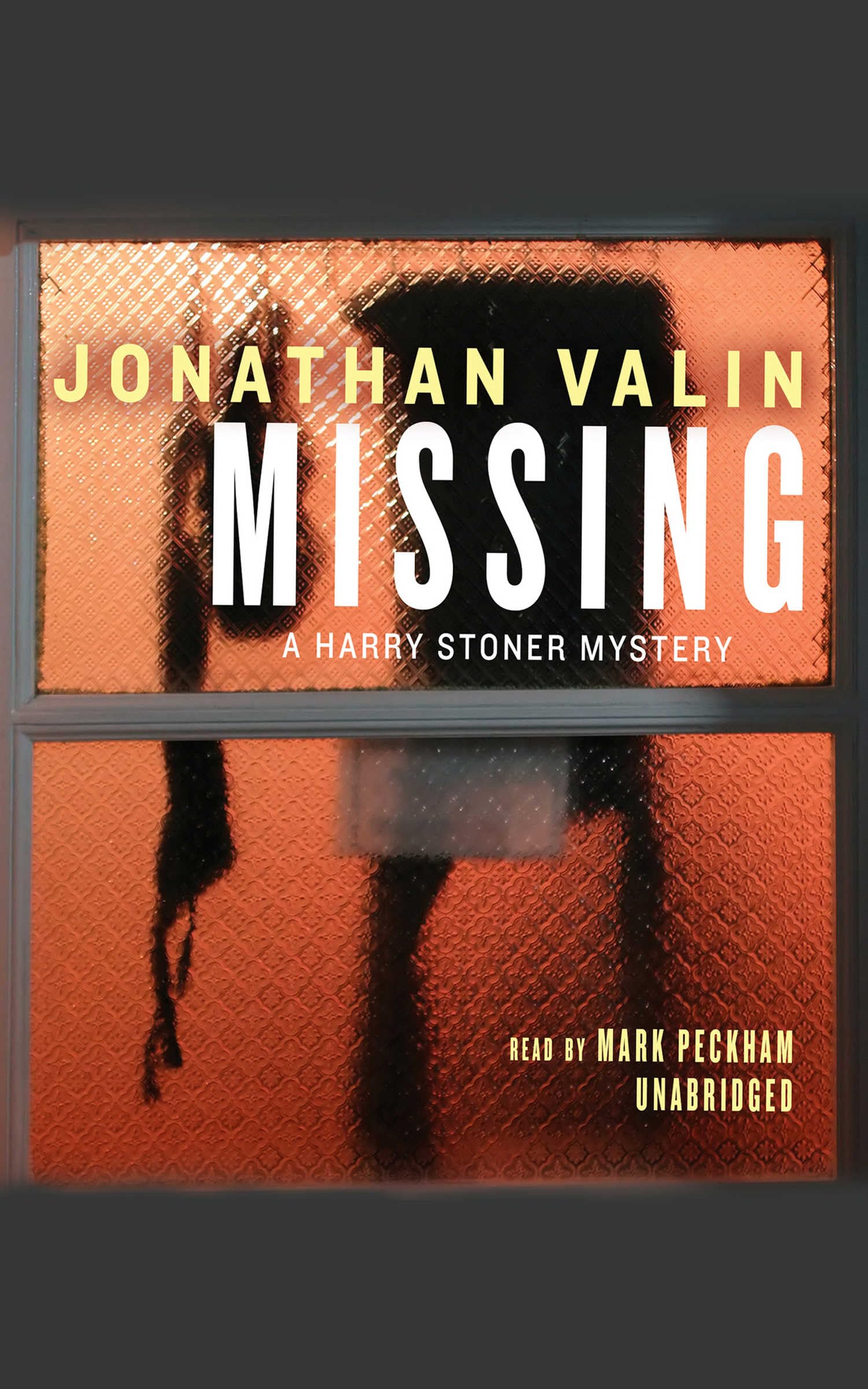 Missing (The Harry Stoner Series Book 11)