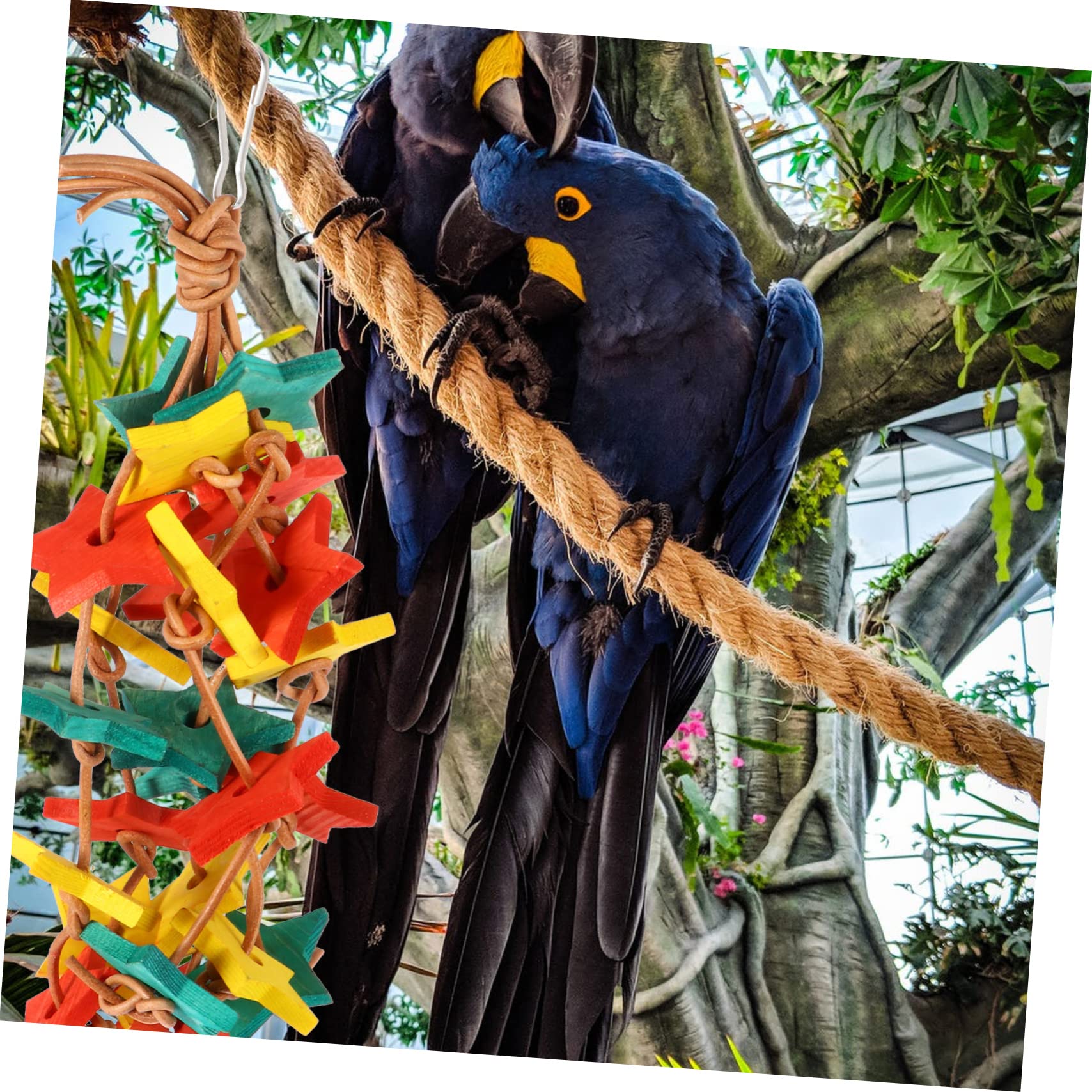 BESPORTBLE 3pièces Jouet à Mâcher pour Oiseaux Accessoire pour Perruches Et Perroquets Jouet De Grignotage Et pour Oiseaux De Compagnie