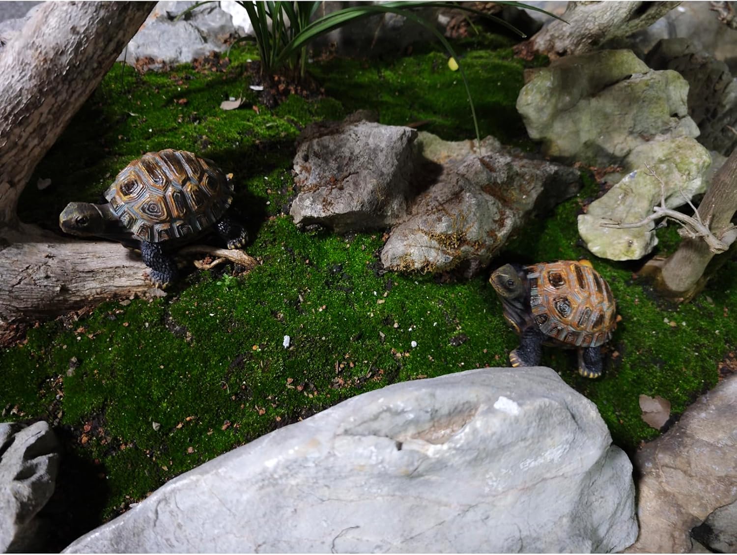 AETVRNI Turtle Figurine Garden Statue Resin Animal Sculpture Realistic Turtle of Polyresin Garden Patio Lawn Yard Outdoor Decorative,M