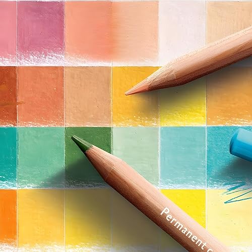 Miniatura 2 de Caran D'ache Lápices Pastel - Carne oscura 40% (788.745)