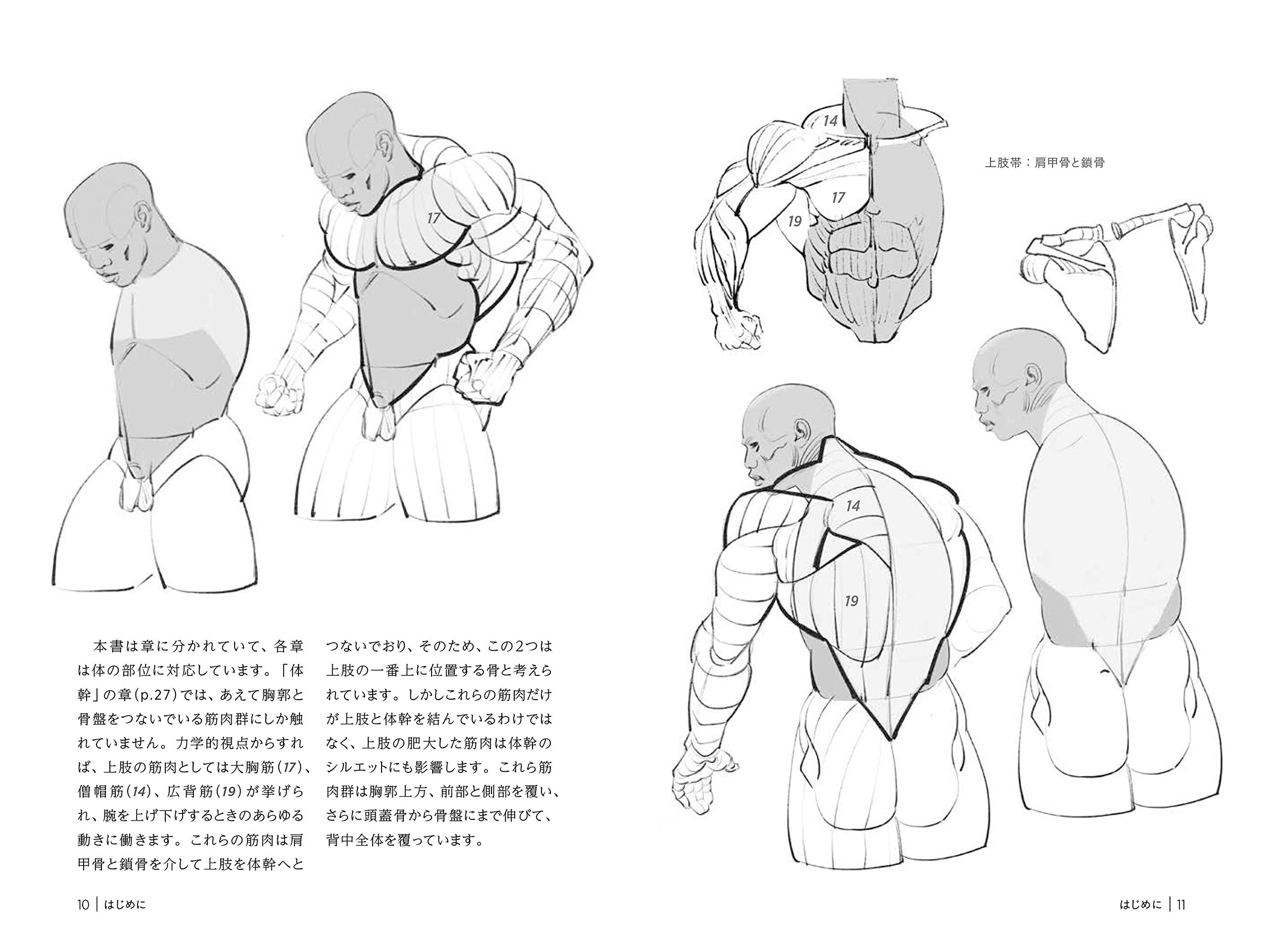 究極の筋肉ボディを描く モルフォ人体デッサン ミニシリーズ ミシェル ローリセラ 布施 英利 ダコスタ 吉村 花子 本 通販 Amazon