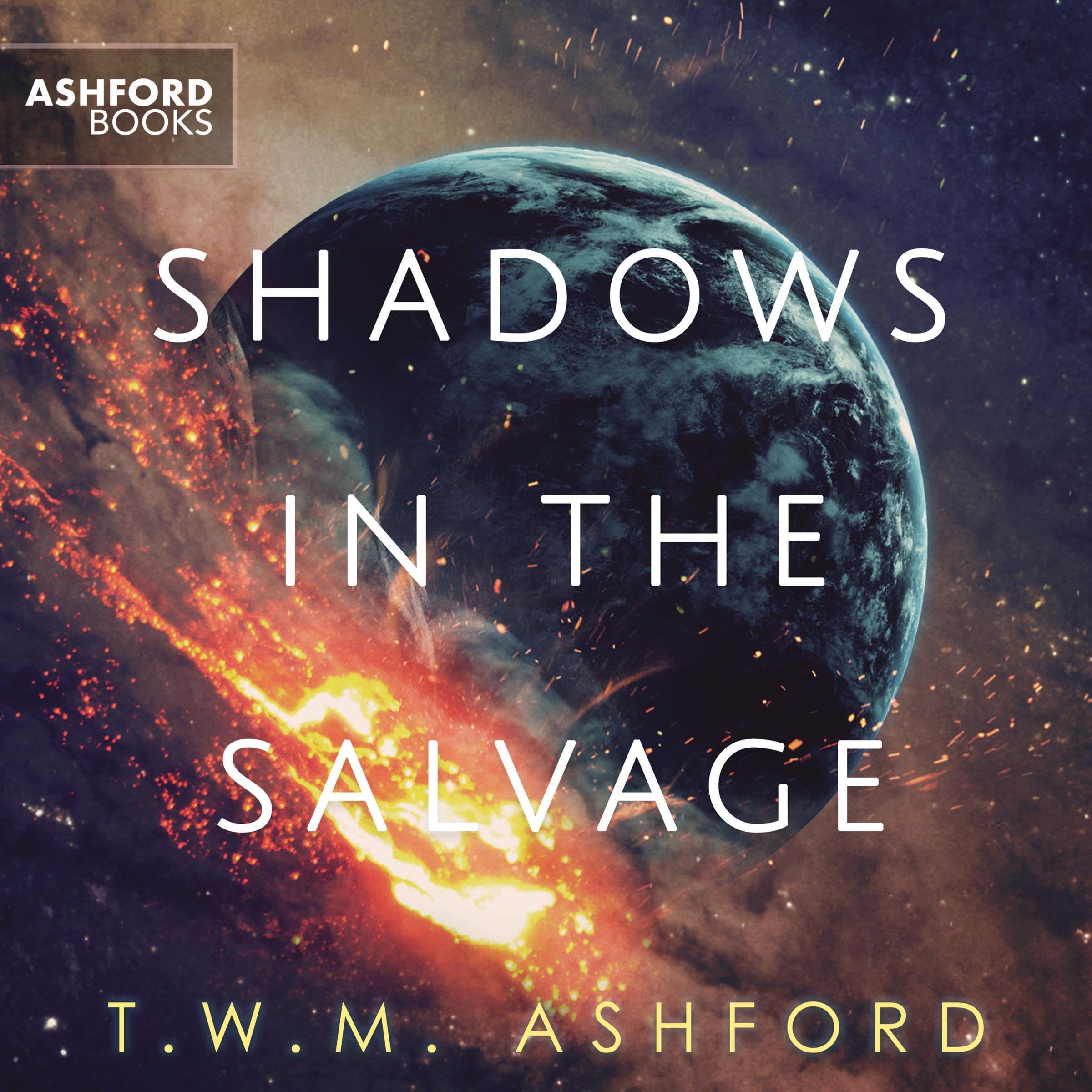 Cover art for Shadows in the Salvage