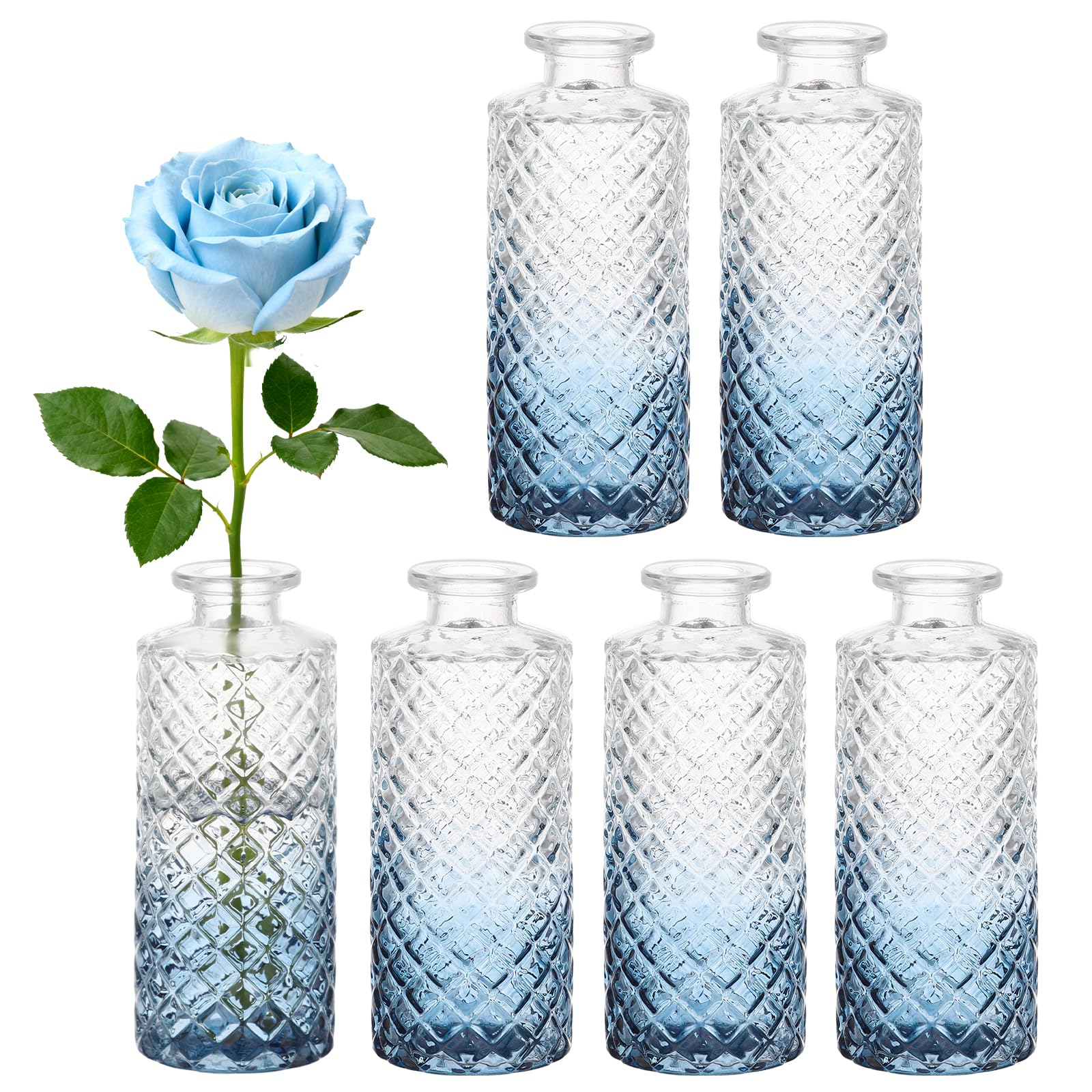 Segus Jarron Cristal, 6 Piezas Jarrones Pequeños Decorativos Modernos, para Arreglos Florales, Centros de Mesa, Manualidades (Degradado de Azul)