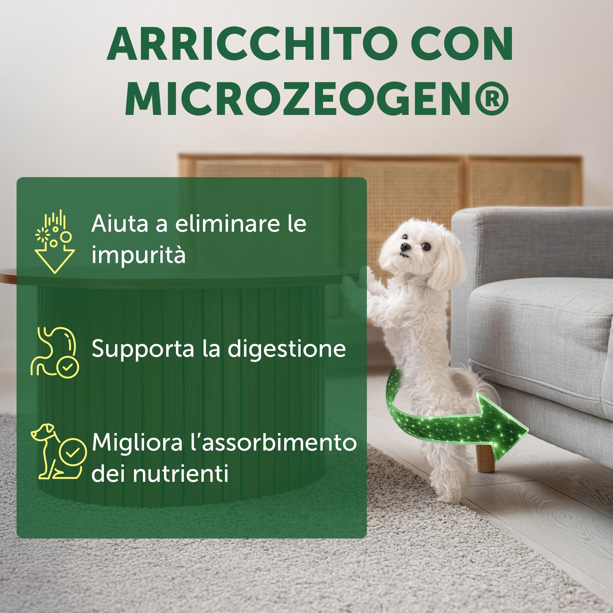 Nature's Protection Superior Care Cibo secco per cani adulti, Salmone 10 kg | Antimacchia lacrimale, manto bianco brillante, Senza cereali, Crocchette piccole, Manti bianchi/chiari, Razze piccole