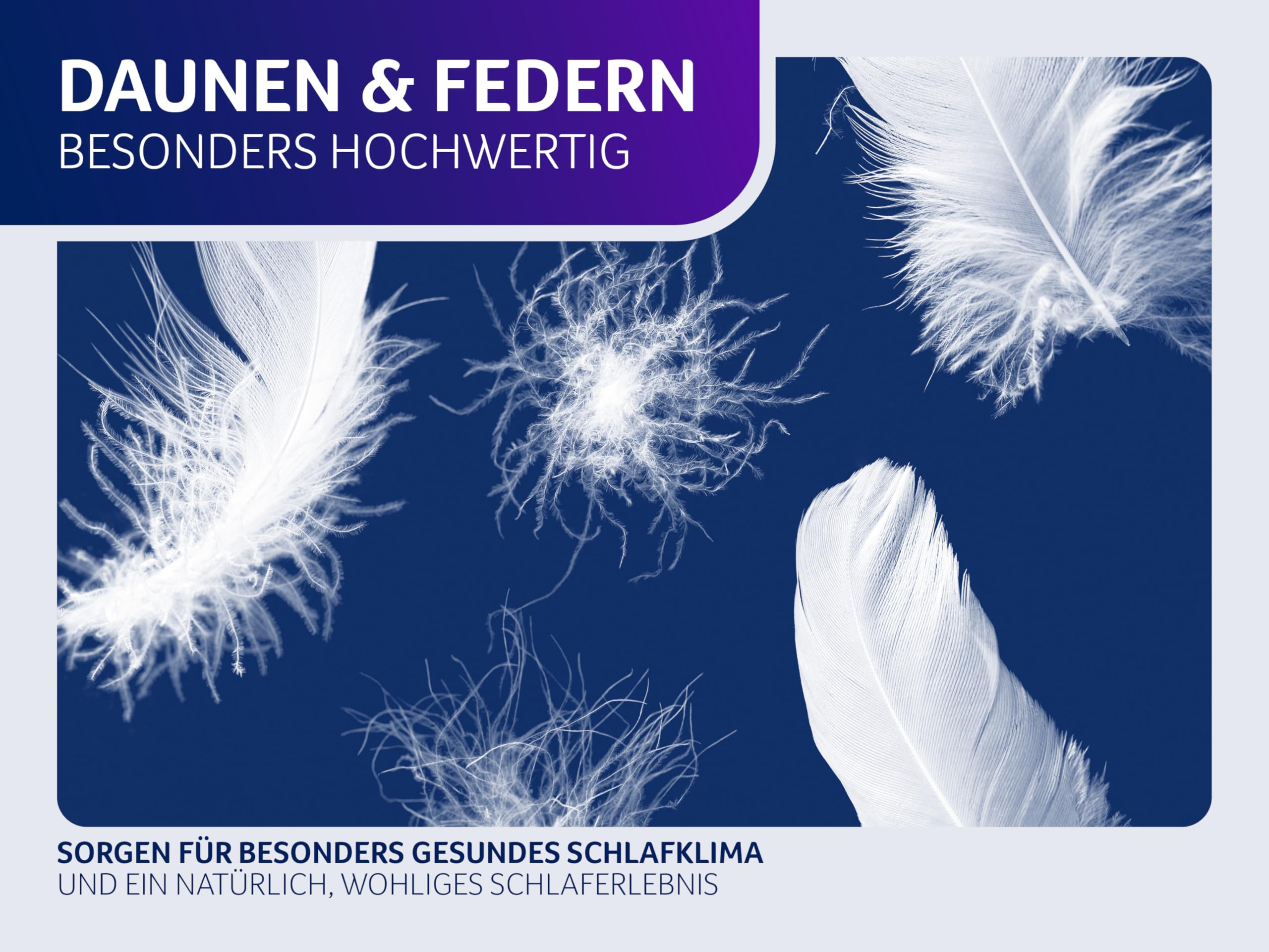 Traumnacht Feather-Flex 3-Kammerkissen, Kopfkissen mit 40% Federn- und 60% Daunenfüllung, 80x80cm, Öko-Tex Zertifiziert, produziert nach deutschem Qualitätsstandard