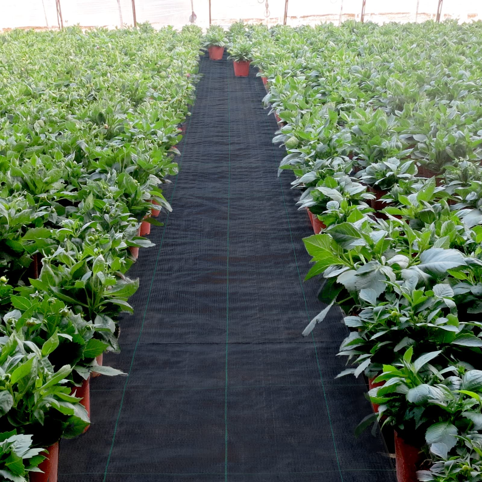 VEVOR Tela tessuta da giardino, 91,4 m x 1,83 m, tessuto anti-erba, 17,8 kg, per vialetti delle terrazze, impedendo le erbacce e ideale anche per i vialetti degli orti