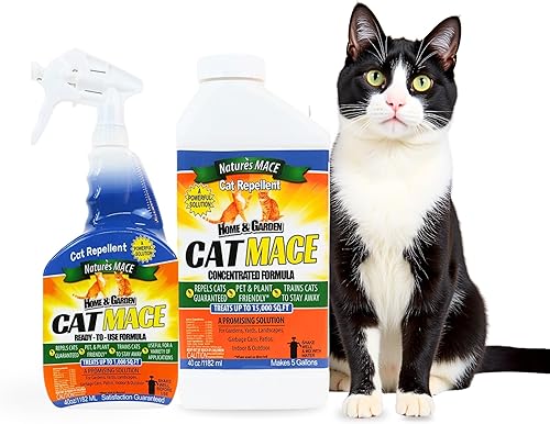 Miniatura 25 de Repelente de gatos Nature’s Mace de 40 onzas en spray, trata 1000 pies cuadrados Aleja a los gatos de tu jardín, entrena a tu gato para alejarse