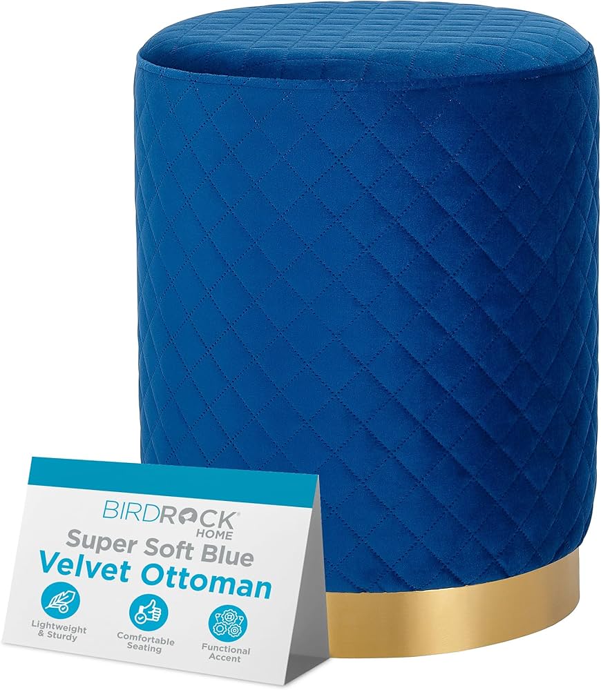 Amazon.co.jp: BIRDROCK HOME ラウンドブルーベルベットオットマン