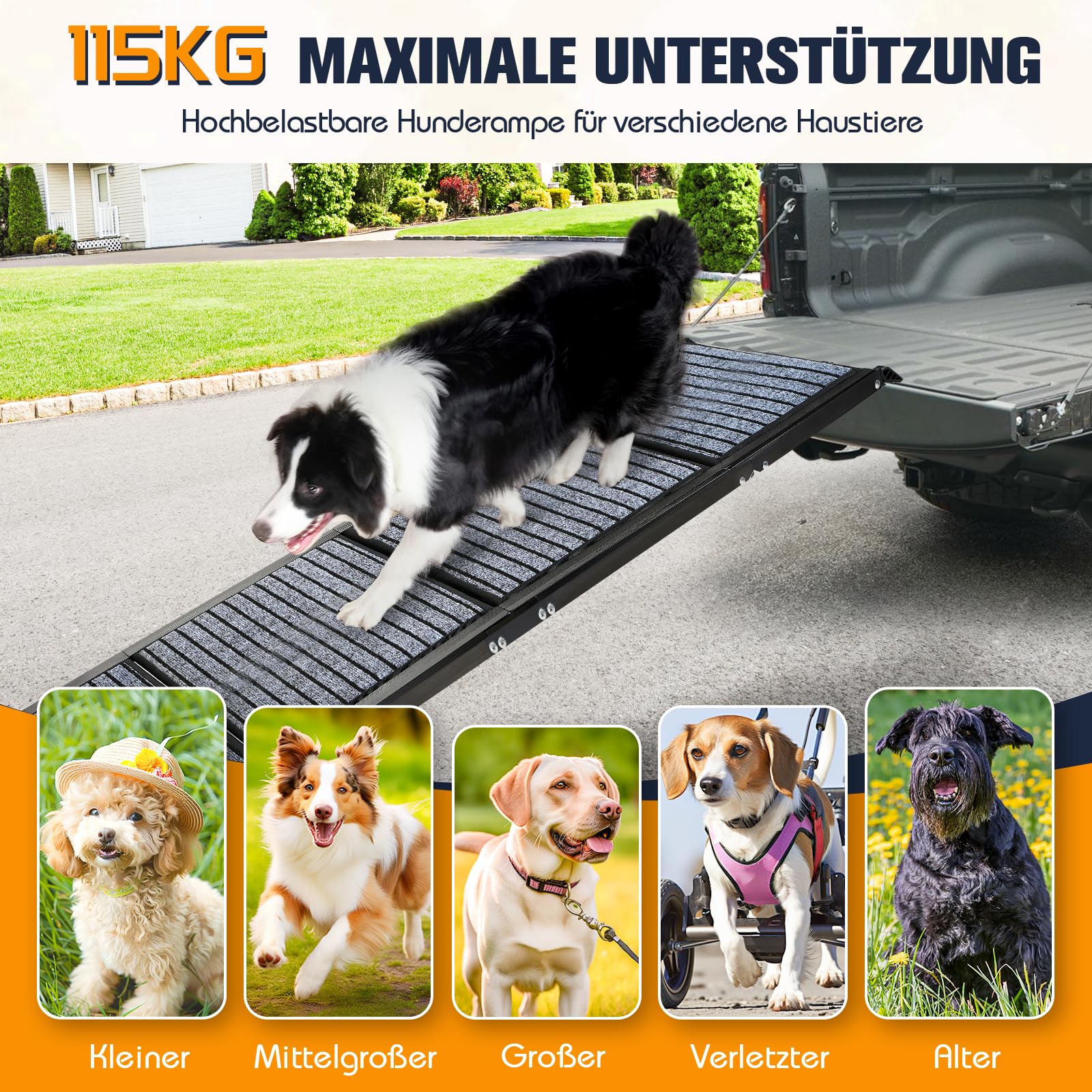 Rampe de voiture extra longue, pliable, pour grands chiens, avec surface de tapis antidérapante, portable et pliable, pour grands chiens, 170 cm de long x 43 cm de large