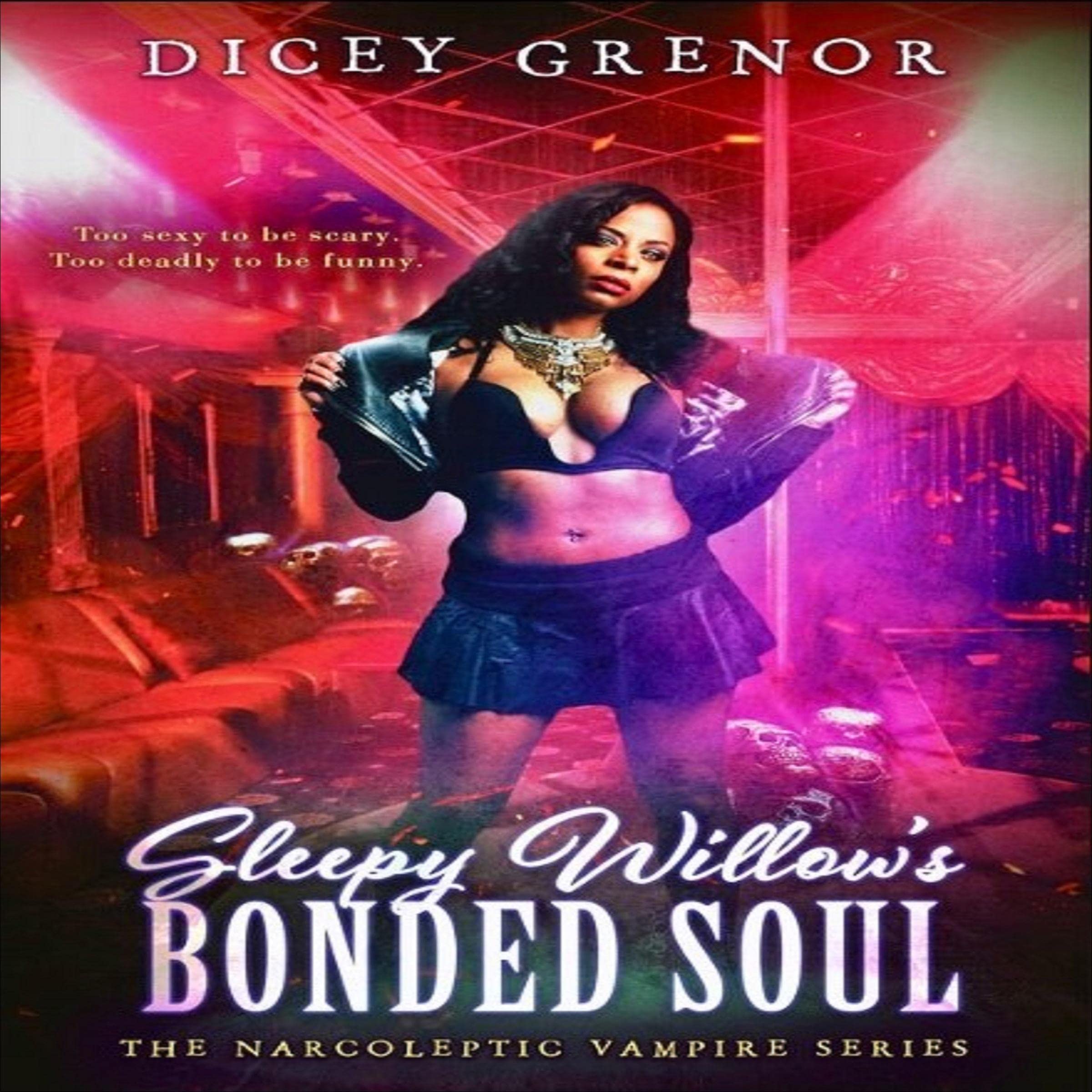 Cover art for Sleepy Willow's Bonded Soul