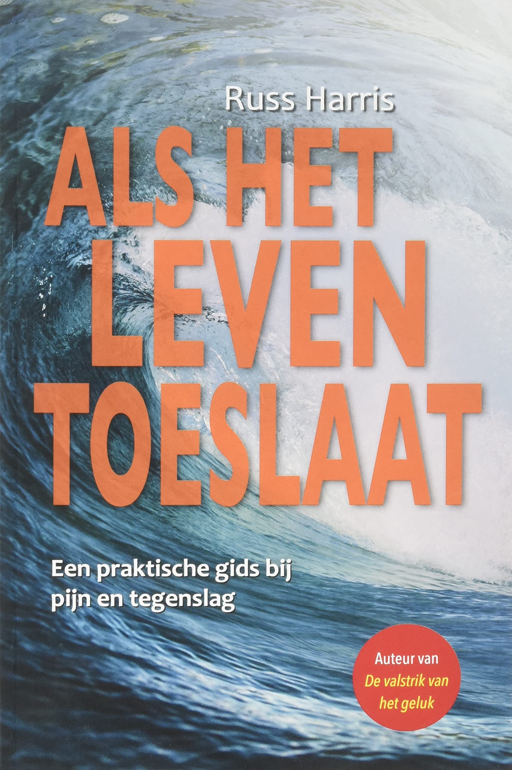 Als het leven toeslaat: een praktische gids bij pijn en tegenslag