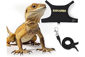 Bearded Dragon Escape Proof Leather Leash and Harness Kit