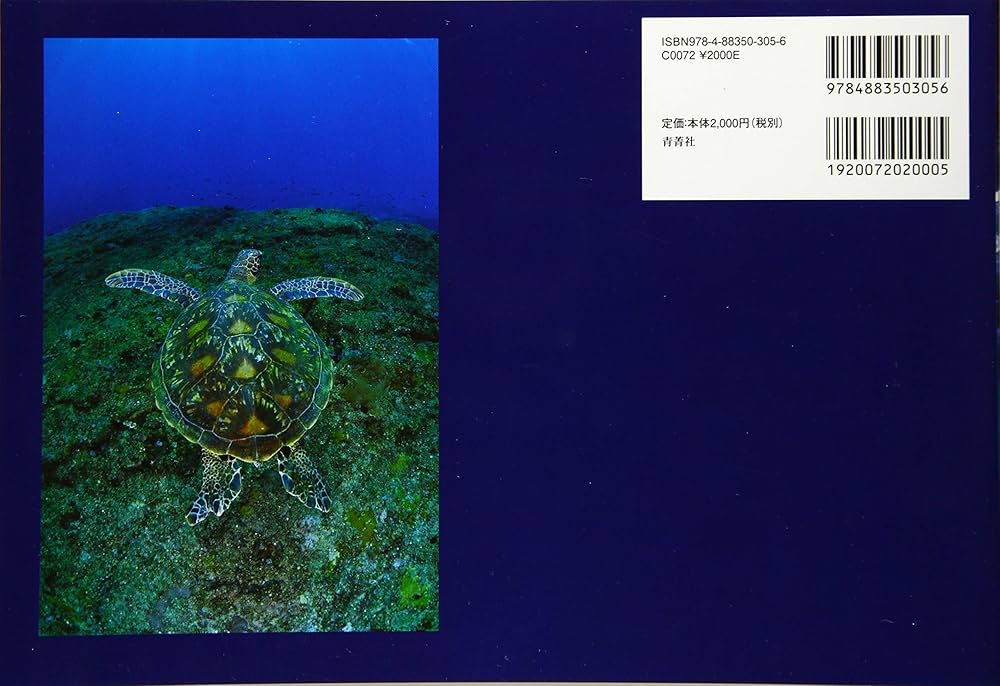 沖縄・八重山諸島 | 深澤武 |本 | 通販 | Amazon