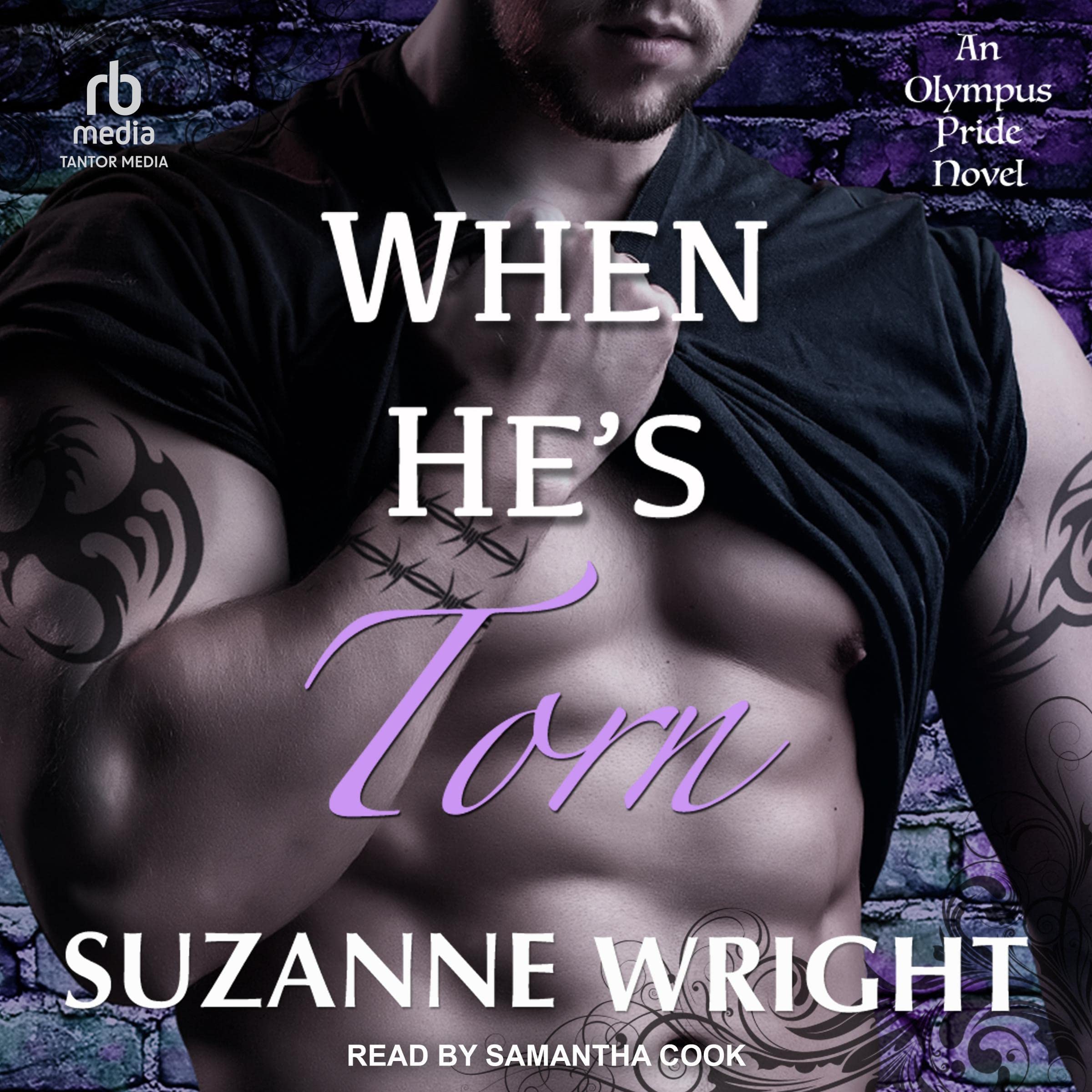 Cover art for When He's Torn