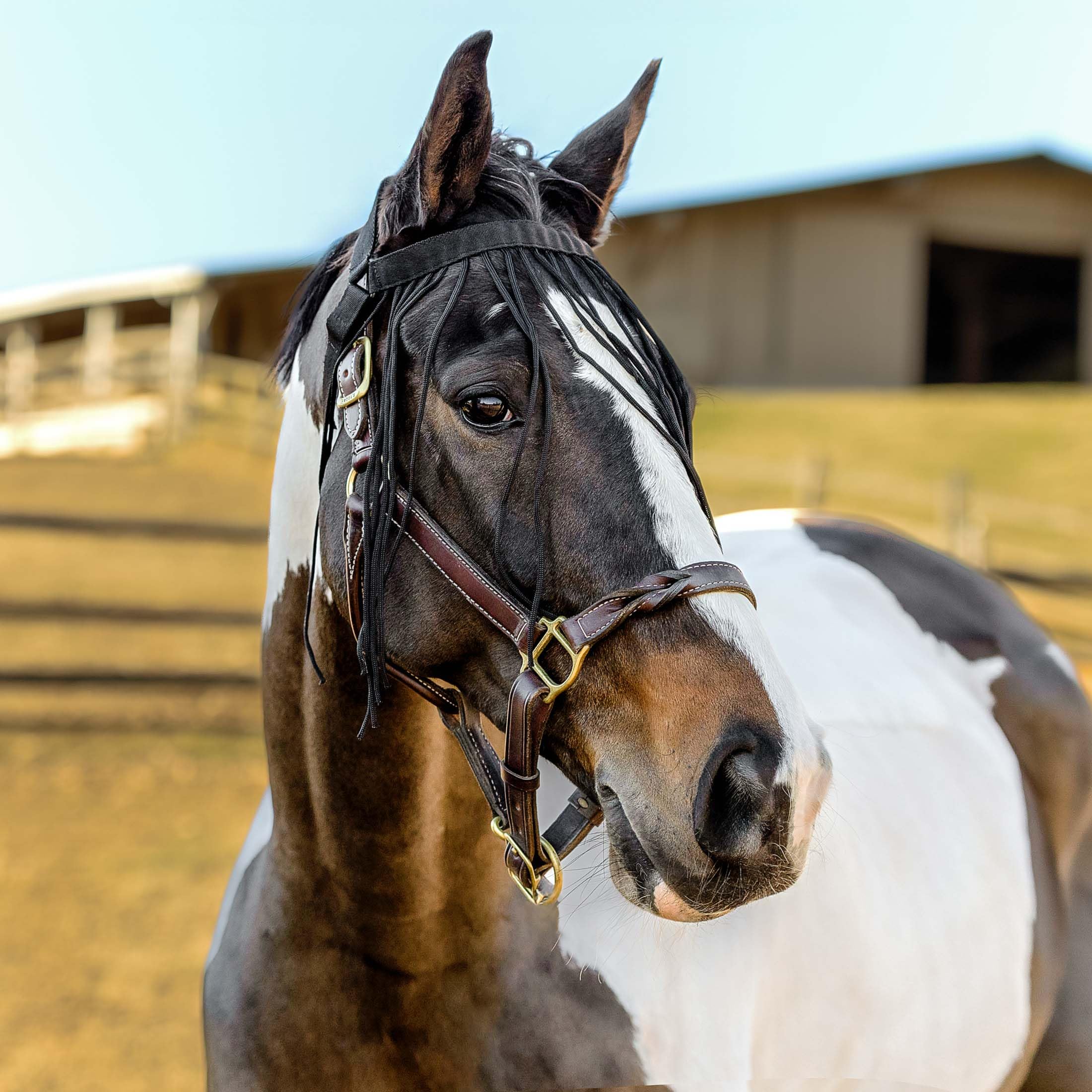 Horze Pferde Fliegenfransen, Insektenschutz für Pferd und Pony
