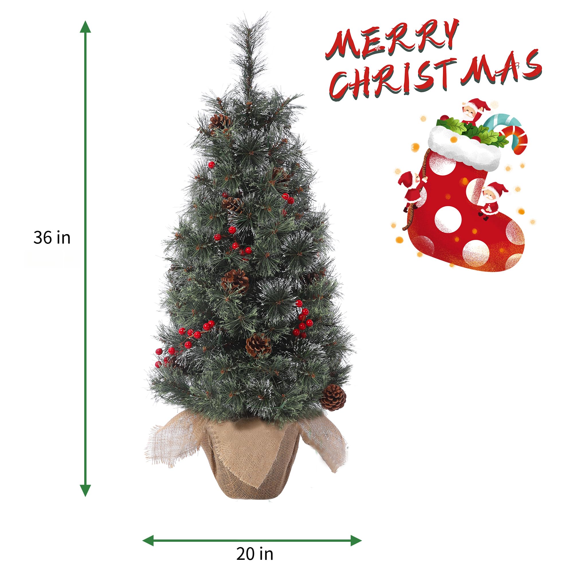 https://m.media-amazon.com/images/I/81vngxCnoyL.jpg