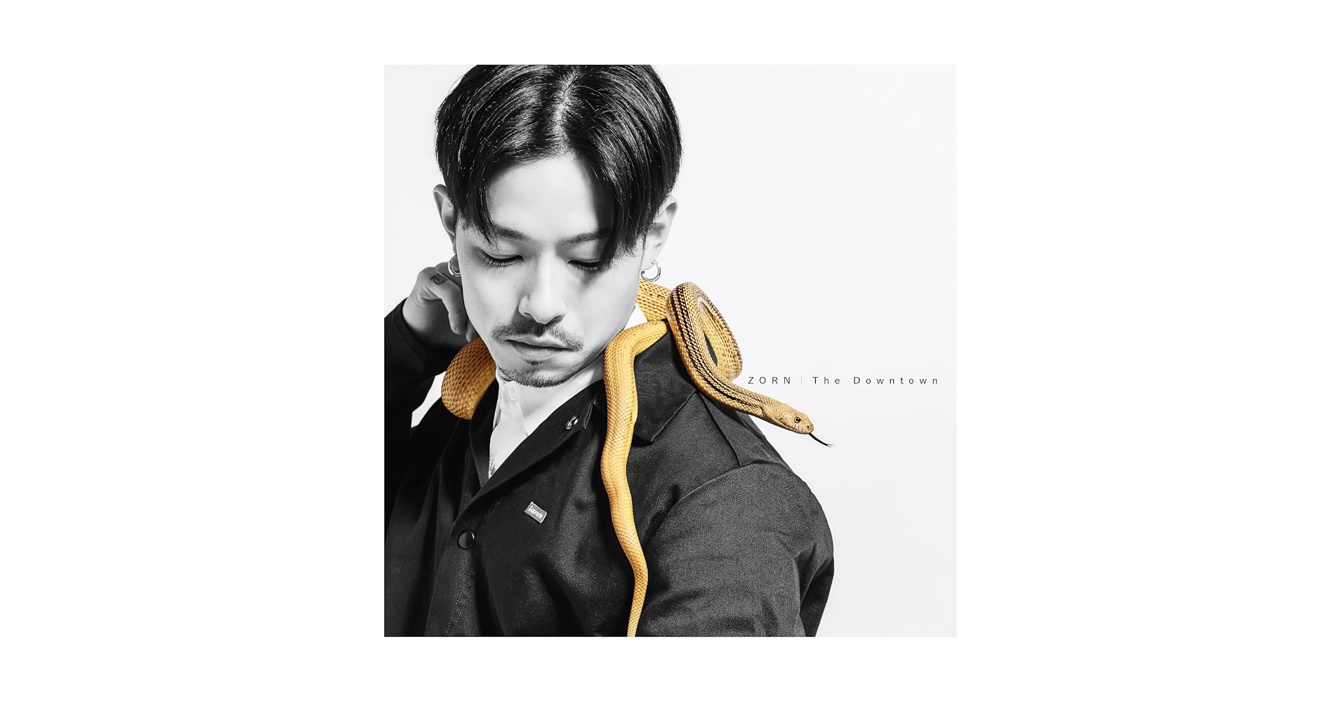 ZORN アルバム Amazon.co.jp: RAP: ミュージック