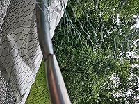 Review Image by Benny J. Benny J.