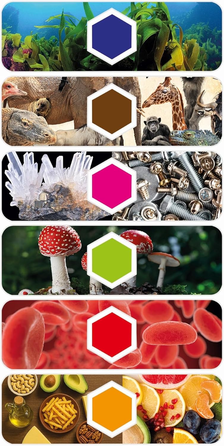 Galileo Lab My Digital Microscope - 2-in-1 Microscope Digital & Analogue with WiFi Camera, App & Accessories - for Kids from 8 Years - 59463 from Clementoni