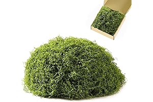 3.5 Oz Fake Moss for Plants - Embrace Lush Greenery Indoors