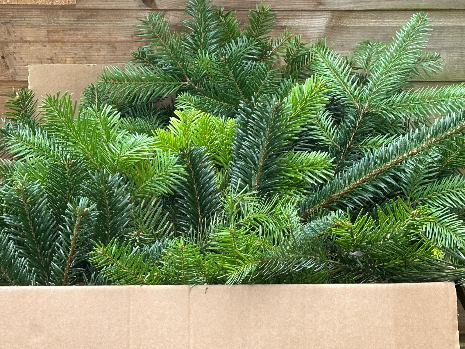 Lincolnshire Tree Nursery Fresh Nordmann Fir Foliage, 4kg Premium Cut Branches, Deep Green Christmas Wreath Making Material, Natural Pine Decorative Greenery
