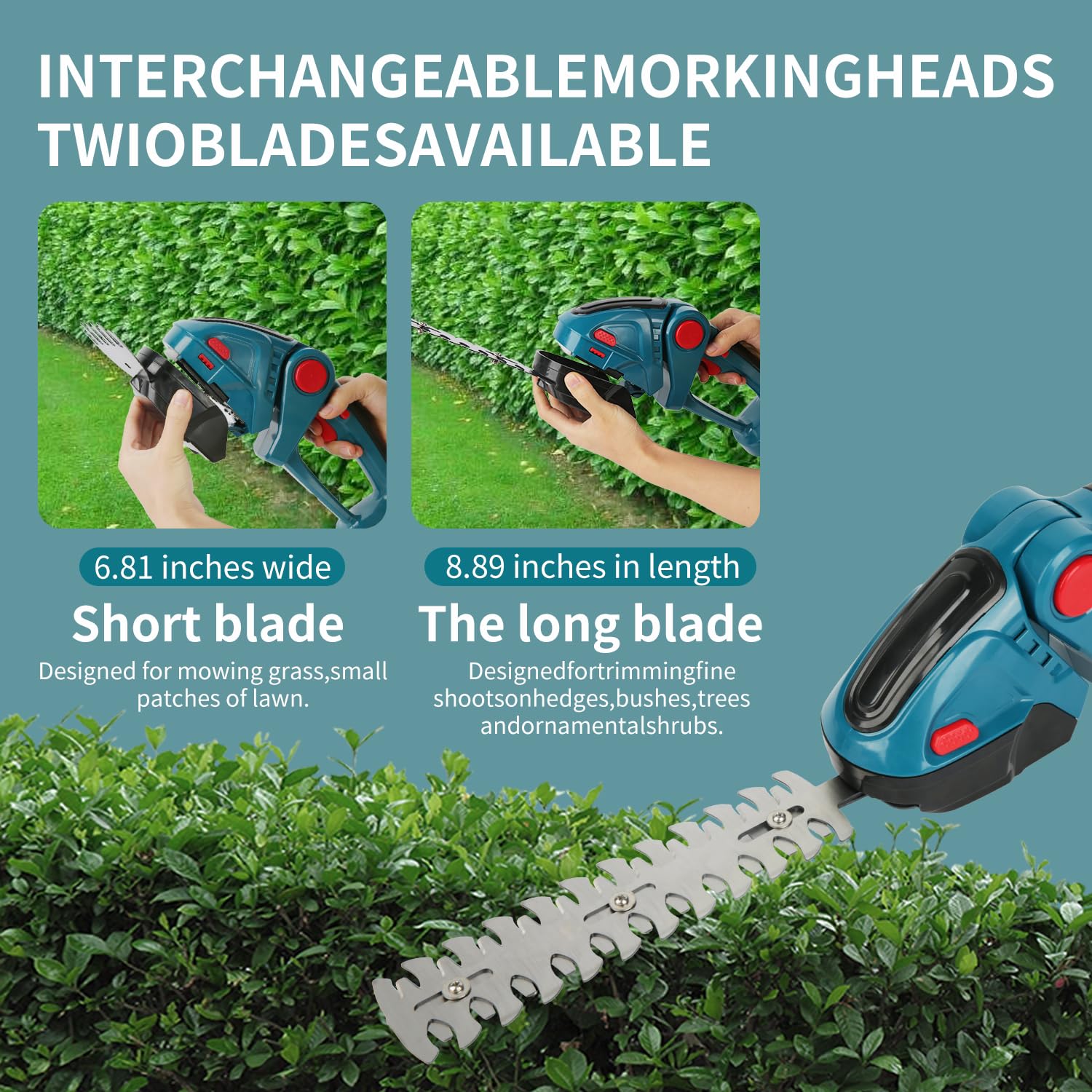Taille-Haie sans Fil 24V 2-en-1 Cisaille À Gazon avec 2 Batteries 2000 mAh et Chargeur, 20 000 TR/Min 2 Lames, Bleu