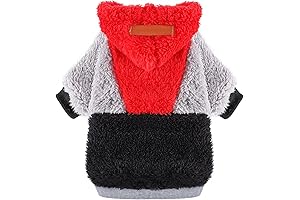 Adorable Chihuahua Hoodie: A Cozy Winter Essential for Small Furry Friends