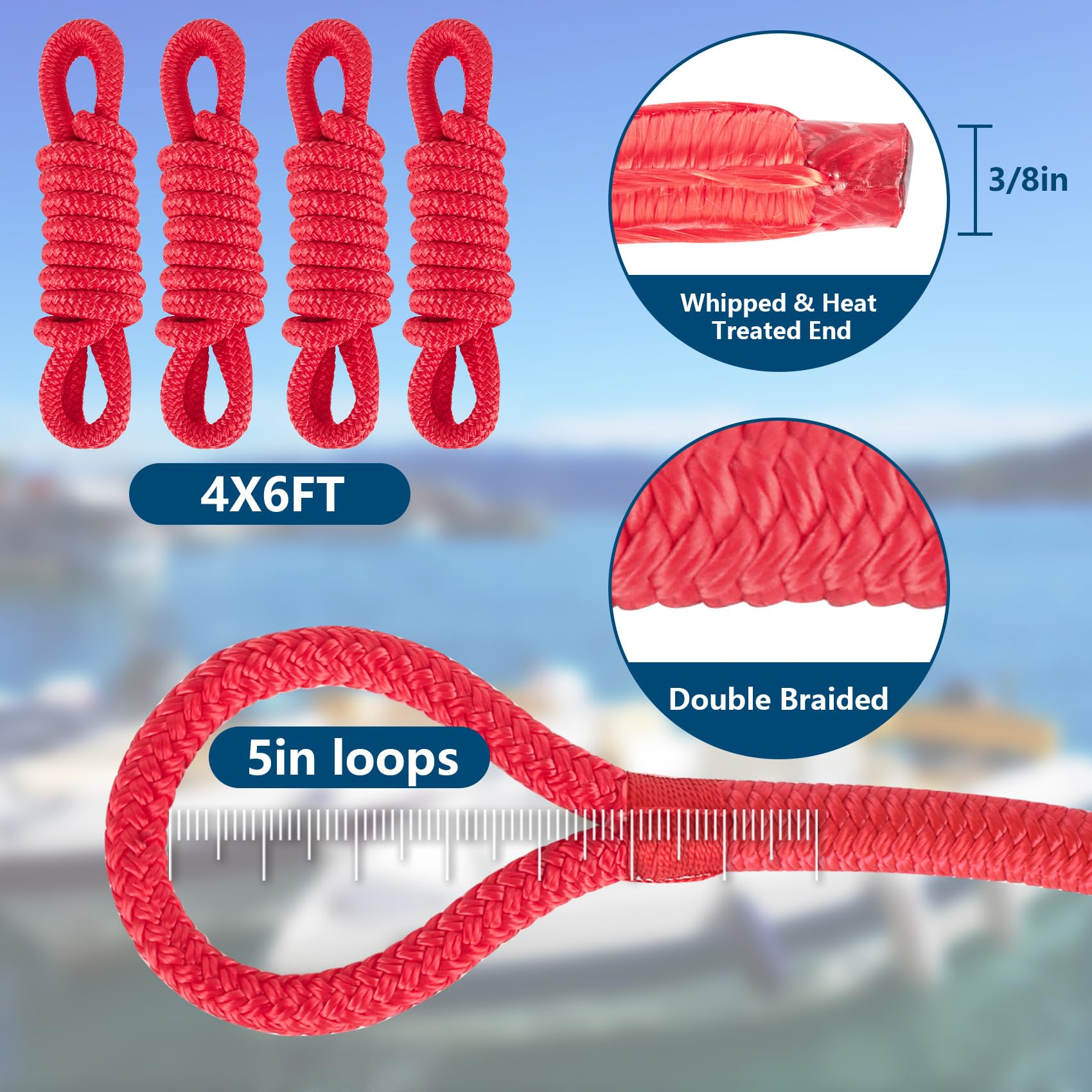 View 5