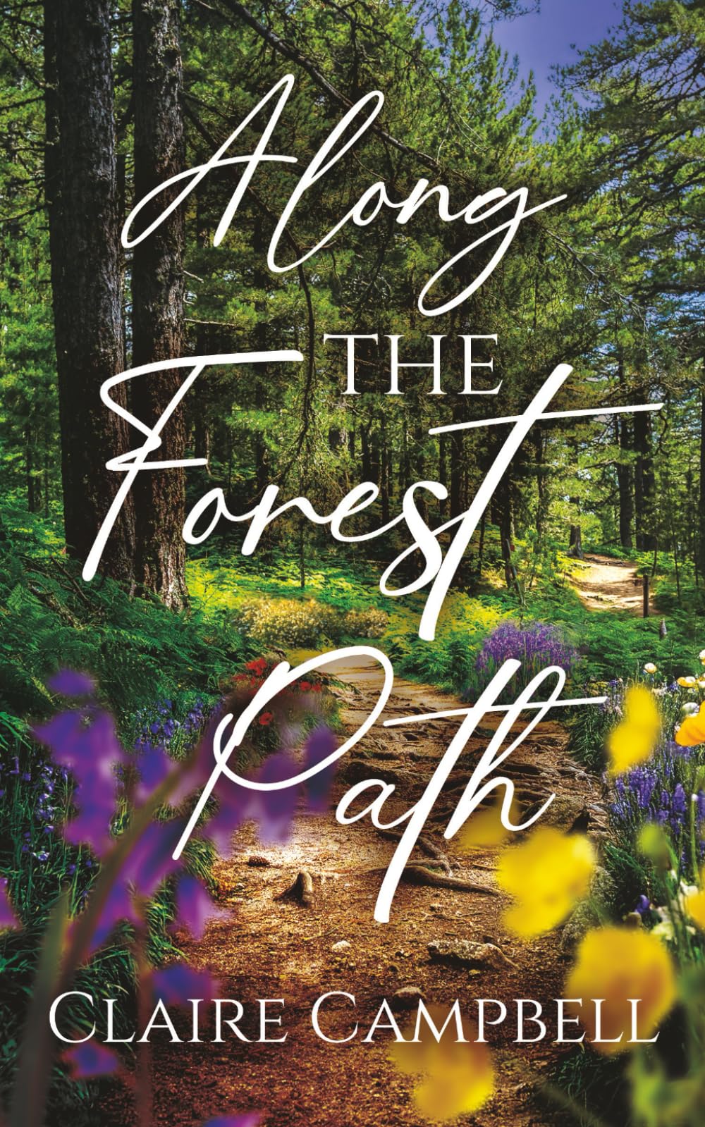 “Along The Forest Path”