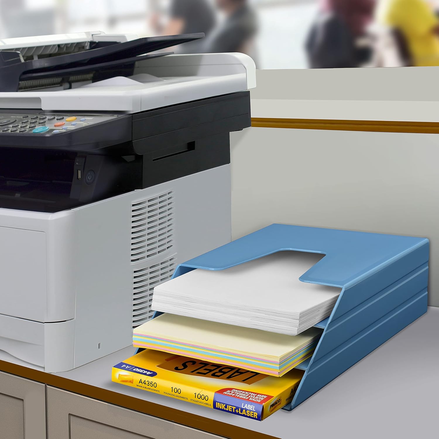 Buy Acrimet Vertical Triple File Folder Holder Organizer (Solid Blue