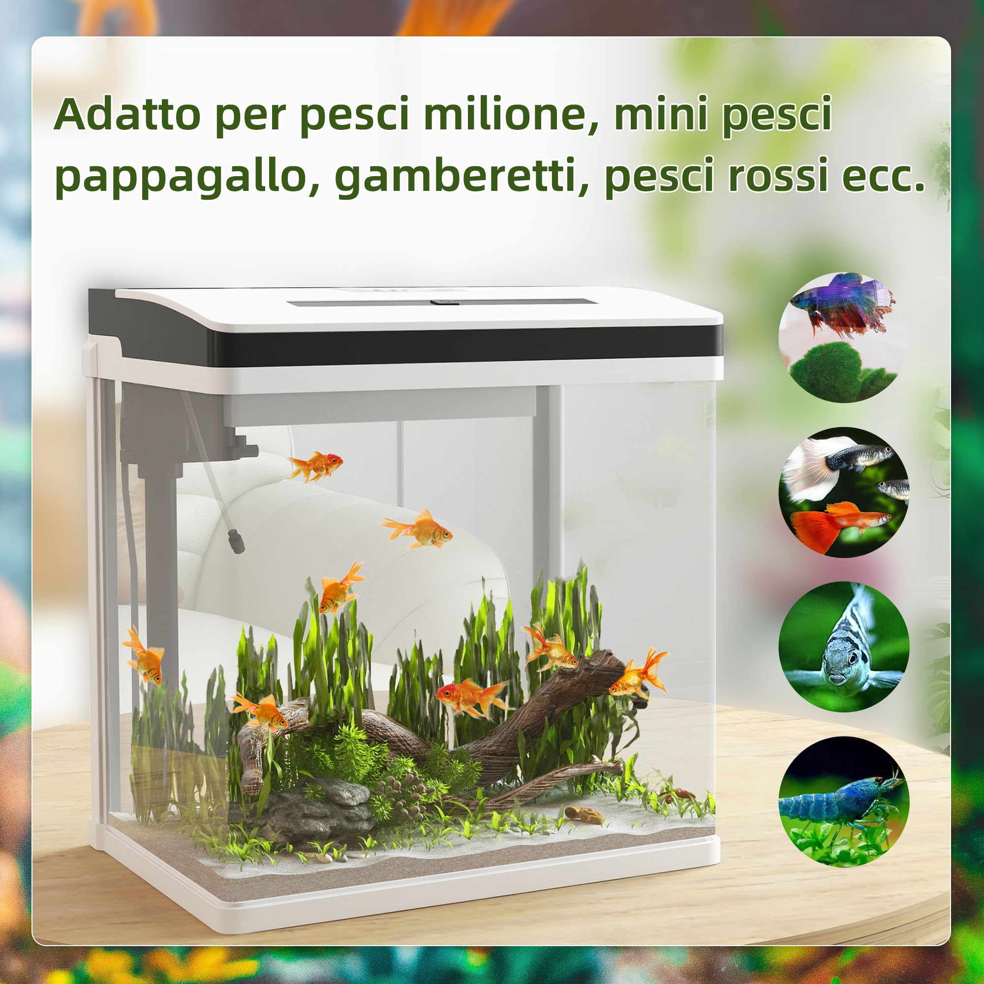 PawHut Acquario per Casa da 28L a Illuminazione LED con Fori di Ventilazione e Pompa Silenziosa, Vaschetta per Pesci in Vetro HD e ABS, 38x26x38 cm, Bianco e Trasparente